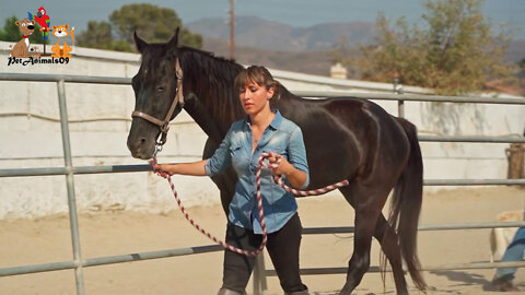 Preakness Stakes 2022,My First Horseback Riding