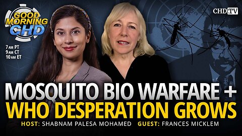Mosquito Bio Warfare + WHO Desperation Grows