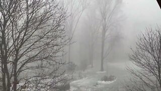 Very Intense Lake Erie Lake Effect Snow Squall 11-18-22