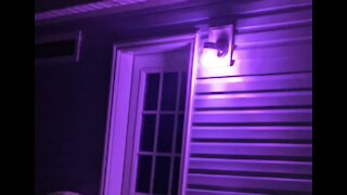 Purple lights at home campaign brings awareness to domestic violence