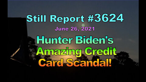 Hunter Biden’s Amazing Credit Card Scandal, 3624