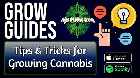 Tips and Tricks for Growing Cannabis | Grow Guides Episode 41