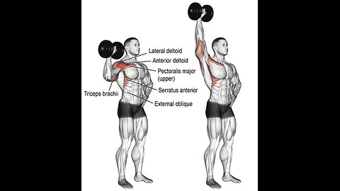 Complete Full Body Dumbbell Exercises: Sculpt, Strengthen, Succeed!
