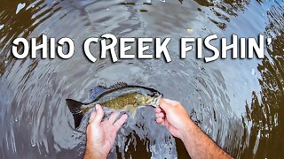 Smallmouth fishing OHIO creeks for smallmouth bass (ft- Cincy Fish Dudes)