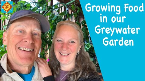 GROWING FOOD in our Indoor GREYWATER GARDEN | EP 3 OFF GRID WINTER LIVING in SW COLORADO