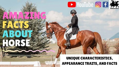 Amazing Facts About Horse | Horse Characteristic, Traits, Facts And Appearance | Animals Addict