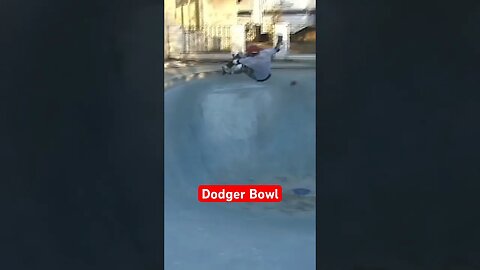 Salba Ripping Dodger Bowl A New One