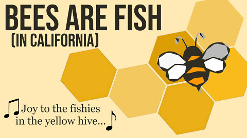 BEES Are FISH (According to California)