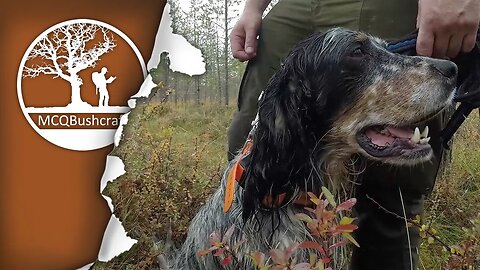 Bushcraft Sweden: Ep04 - Hunting Capercaillie & Black Grouse