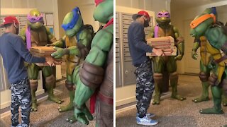 Pizza delivery guy gets surprised by the Teenage Mutant Ninja Turtles