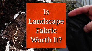 Is Landscape Fabric Worth It?