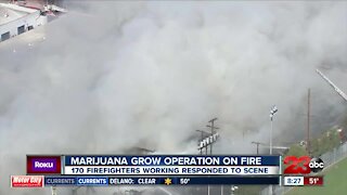 Marijuana grow operation on fire in Los Angeles