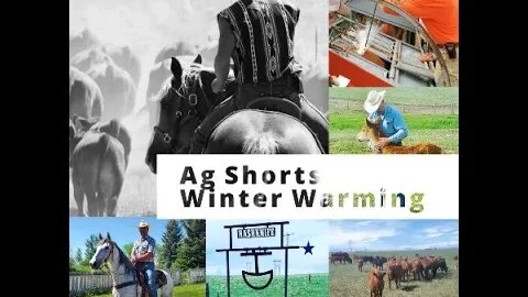 Equipment Warmers - Ag Shorts