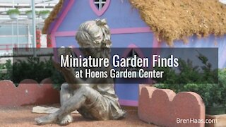 Miniature Gardening at Hoens Garden Center