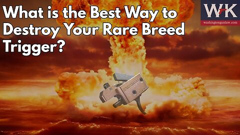 What is the Best Way to Destroy Your Rare Breed Trigger?