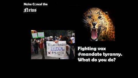 Fighting vax #mandate tyranny. What do you do? and more