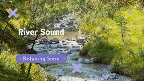 Nature Sounds of a Forest River for Relaxation