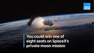 SpaceX private moon mission has eight free seats up for grabs