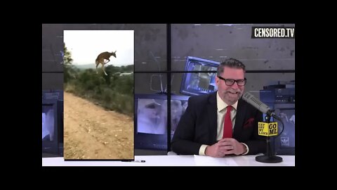 Gavin Mclnnes Watch’s a Deer Defy Gravity || GOML CENSORED TV ||