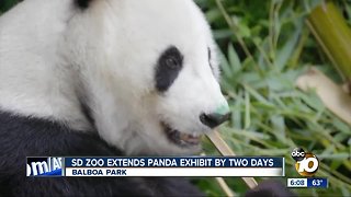 San Diego Zoo extends panda exhibit by two days