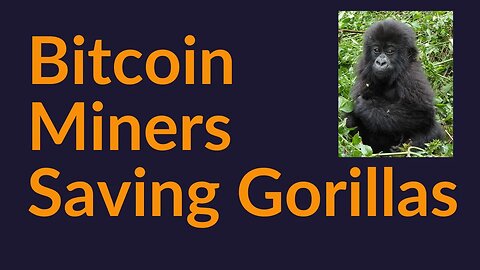 Bitcoin Miners Saving Endangered Gorillas