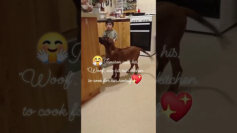 Baby Cooks For His Rhodesian Ridgeback Puppy