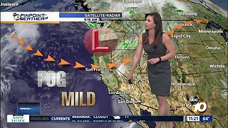 10News Pinpoint Weather with Meteorologist Megan Parry