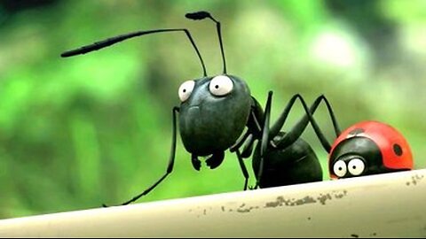 Minuscule: Red Ants vs Black Ants ||