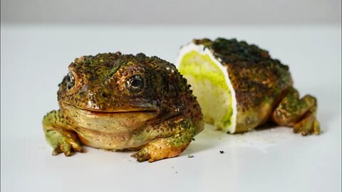 Making a REALISTIC Toad CAKE