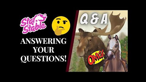 What Do I Look For In MQ's Members? Answering YOUR Questions! Star Stable Quinn Ponylord