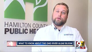 Algal bloom in Ohio River grows larger, still a health risk