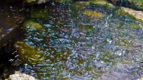 Hard Hailstorm beating down on pond