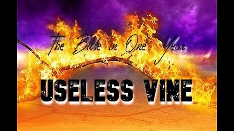 The Bible in One Year: Day 242 Useless Vine