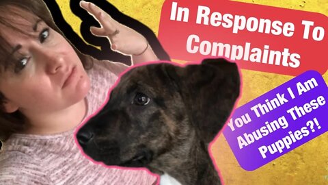 In Response To Complaints About Puppy Conditions ! / Homeschool DITL / Neglected Puppies Saved