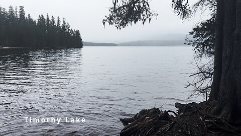 EPIC SHORELINE Gone Creek Campground Day Use Area Seating @ Timothy Lake! | Mount Hood | Oregon | 4K