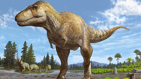 How The Tyrannosaurus Rex Was A Apex Predator!