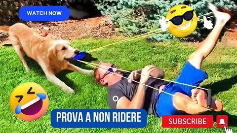 🤭😂🤣 Animali divertenti per bambini e adulti | prova a non ridere 🤭😂🤣