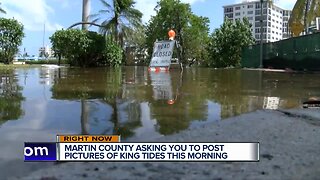 Martin County asks the public for help documenting king tide