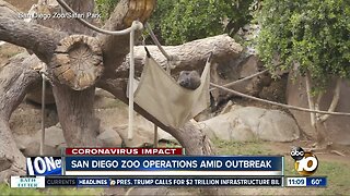 San Diego Zoo operations amid outbreak