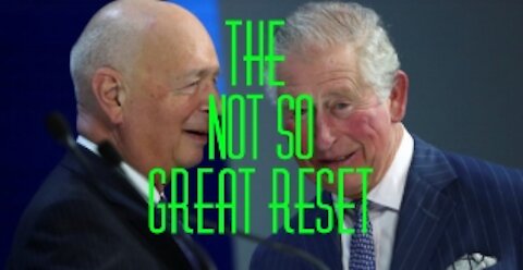 The NOT SO Great Reset