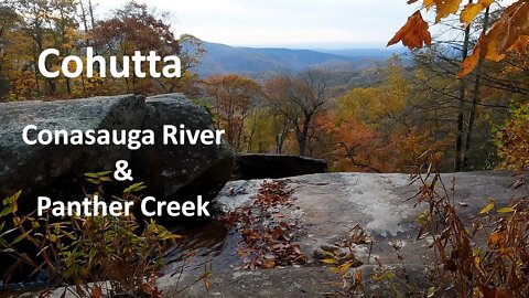 Cohutta: Conasauga River & Panther Creek