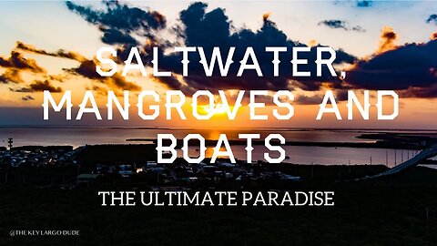 Saltwater Mangroves of Key Largo The Ultimate Paradise 4K