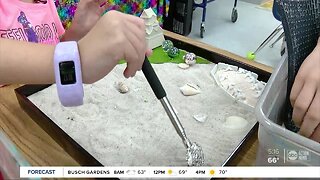 Zen gardens help Tampa Bay area elementary school students deal with anxiety and stress