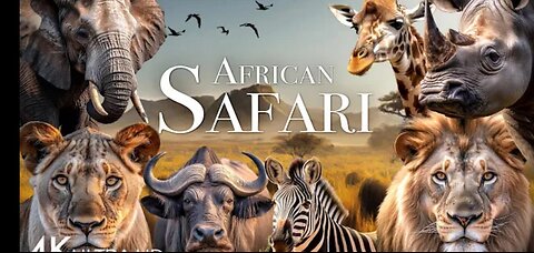 African safari 4k- Amazing wildlife of African savanna l scenic Relaxation film ...