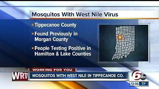Mosquitoes with West Nile found in Tippecanoe County