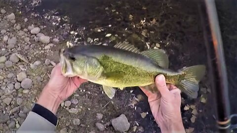 Engaging Bass Fishing - From the Bank - Lovely Day - Part 2