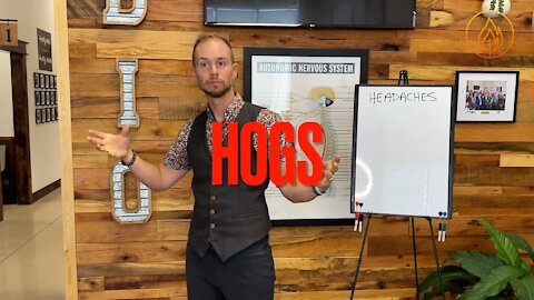 HOGS, the Acronym at Ignite