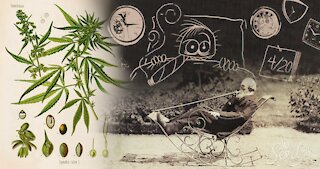 Cannabis History explained in 5 Minutes | Short History of Cannabis
