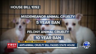 Anti-animal cruelty bill passes State House