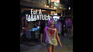 Eat A Tarantula Spider - Siem Reap, Cambodia